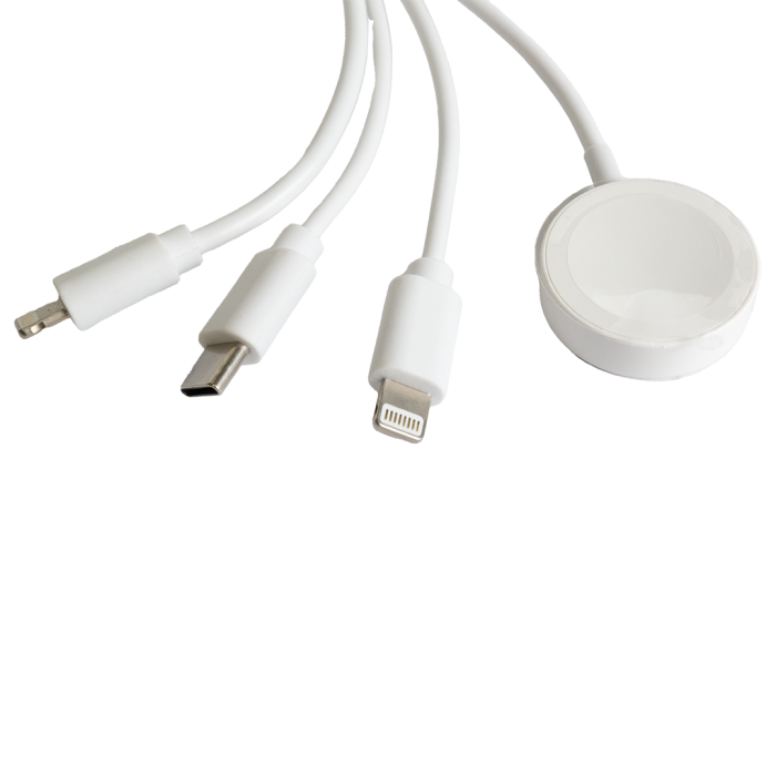 Charging Cable 4In2 (1.8M)