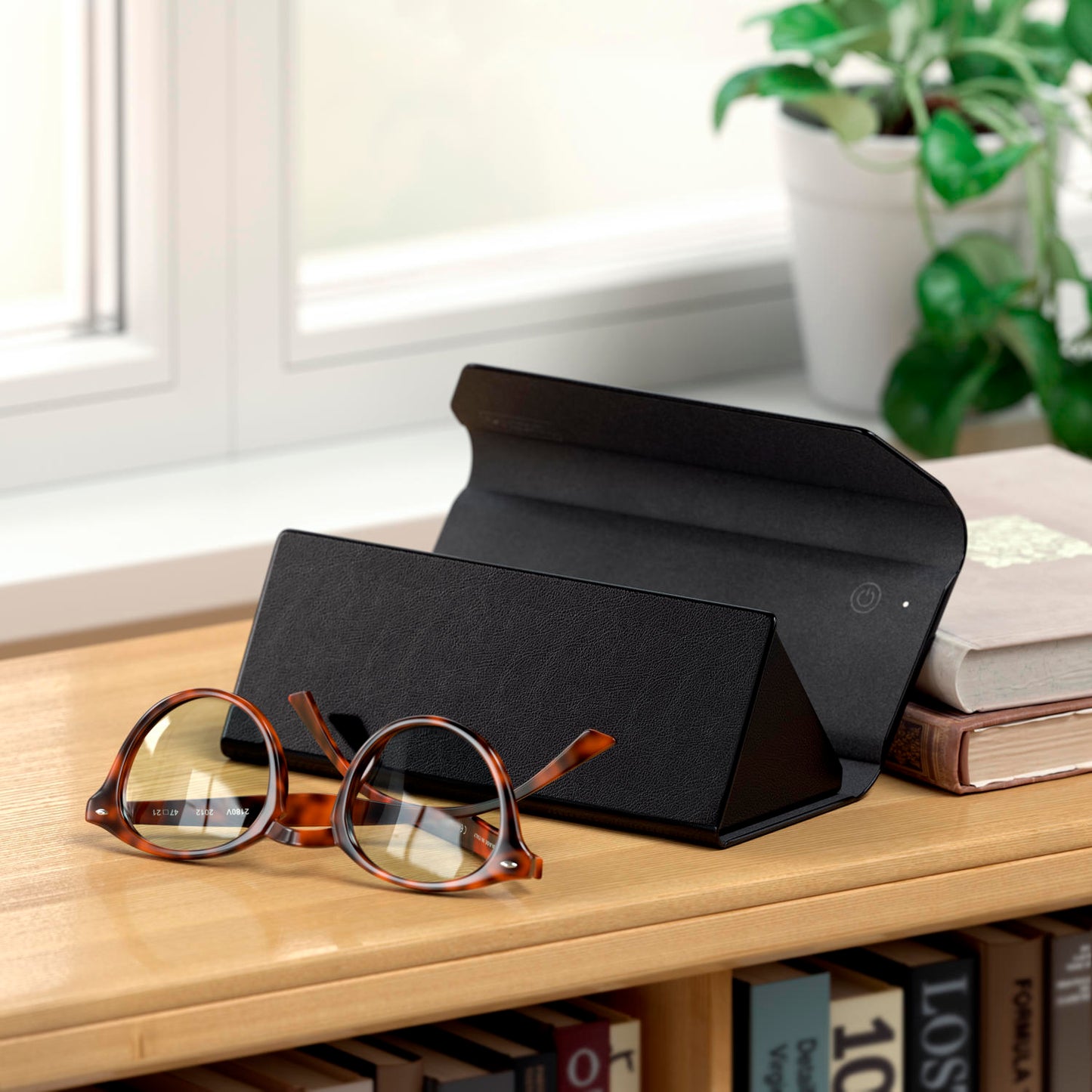Satechi FindAll Glasses Case (black)