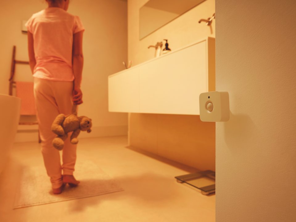 Hue Motion sensor