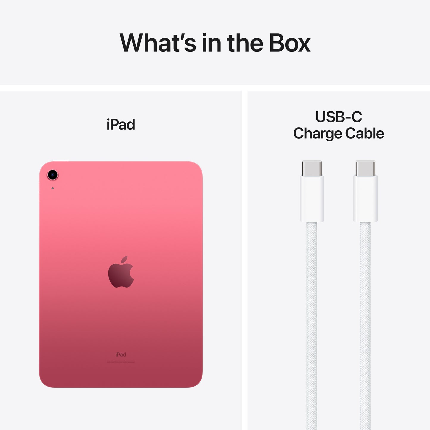 iPad de 10,9 polegadas Wi-Fi 64 GB - Rosa (10.ª geração)