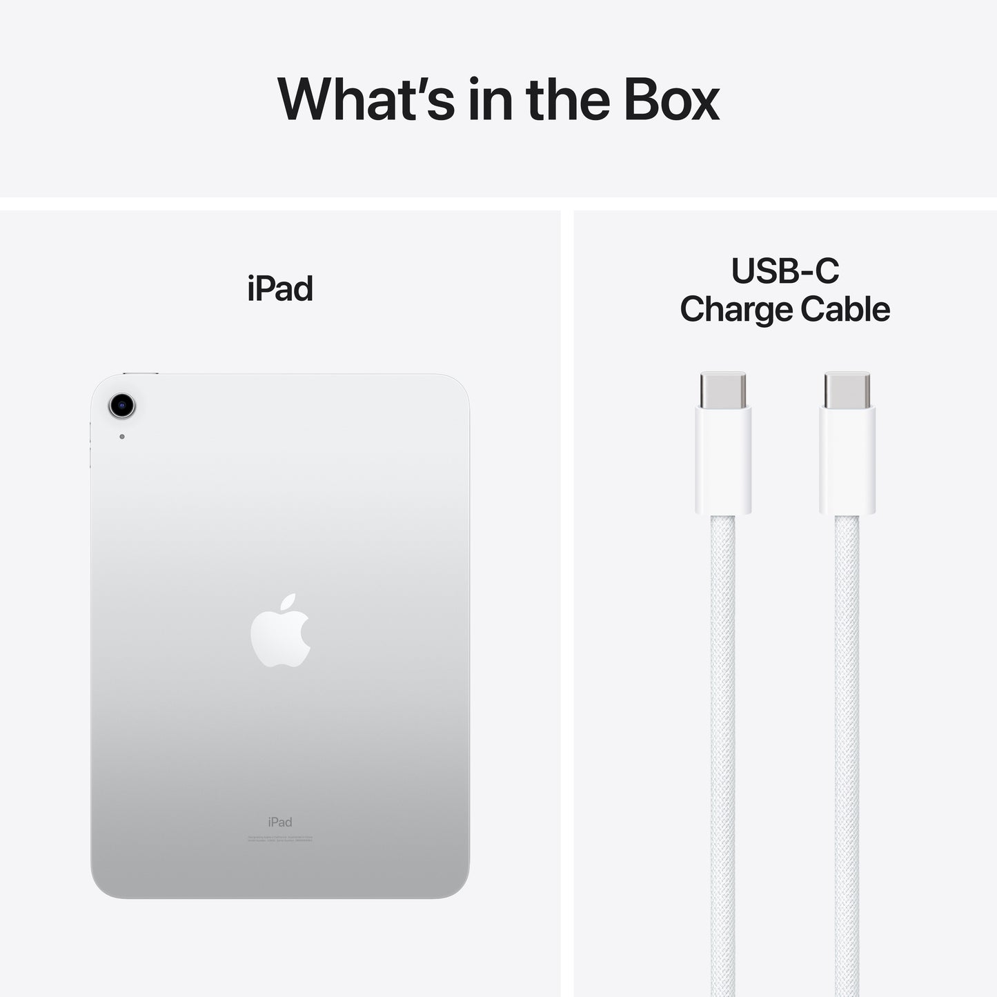 iPad de 10,9 polegadas Wi-Fi 256 GB - Prateado (10.ª geração)