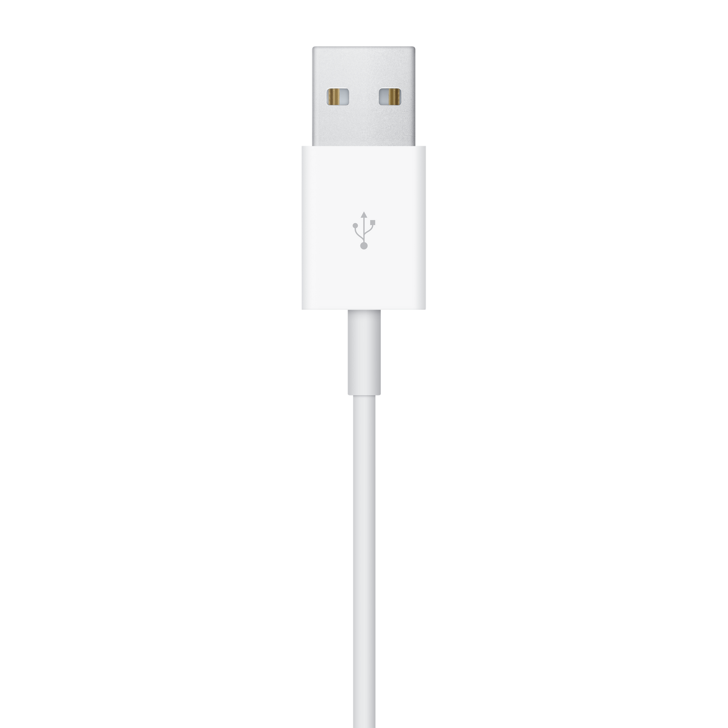 Cabo de carregamento magnético para Apple Watch (2 m)
