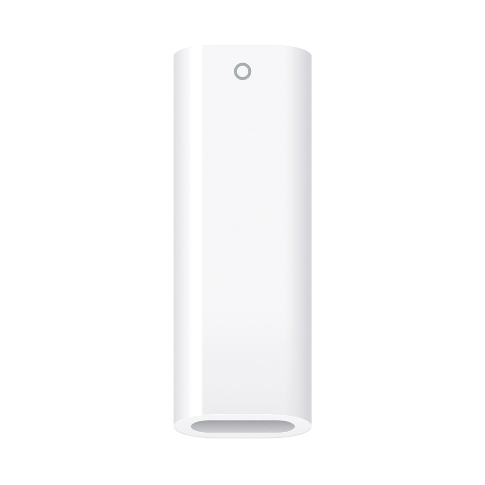 Apple Pencil (1.ª geração) - Inclui Adaptador USB-C para Apple Pencil
