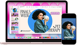 MacBook Neo na cor rosado, junto ao iPhone, o ecrã do MacBook Neo mostra uma apresentação com o título Terapia com Animais na Semana de Exames e a fotografia de uma pessoa com um coelho ao colo, e o ecrã do iPhone mostra a mesma fotografia, convertida num autocolante para usar na apresentação