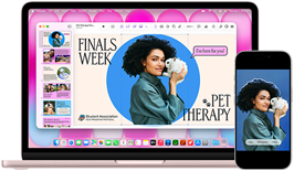 MacBook Neo na cor rosado, junto ao iPhone, o ecrã do MacBook Neo mostra uma apresentação com o título Terapia com Animais na Semana de Exames e a fotografia de uma pessoa com um coelho ao colo, e o ecrã do iPhone mostra a mesma fotografia, convertida num autocolante para usar na apresentação