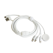 Charging Cable 4In2 (1.8M)