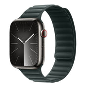 Magnetic Fiber Watch Evergreen 42|44|45|49
