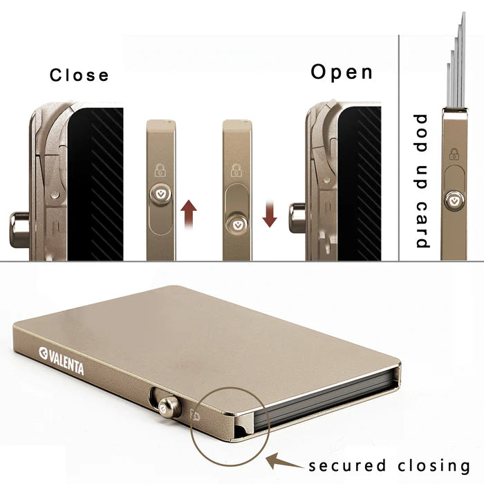 Cardprotector Valenta Aluminium MagSafe Titanium Natural