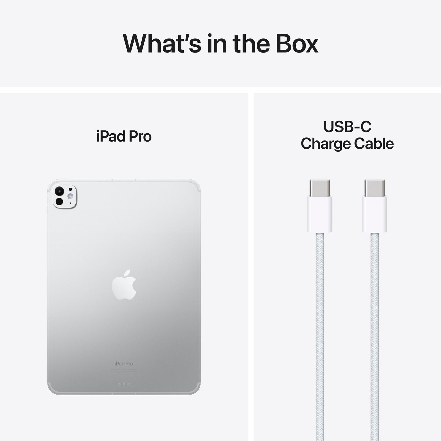 iPad Pro Wi-Fi de 11 polegadas Wi-Fi + Cellular 1 TB Vidro padrão - Prateado (M4)