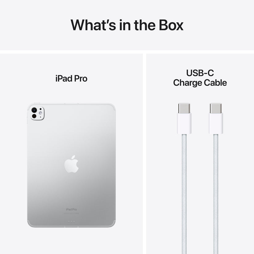 iPad Pro Wi-Fi de 11 polegadas Wi-Fi + Cellular 1 TB Vidro padrão - Prateado (M4)