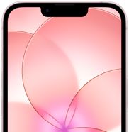 Vista frontal parcial do iPhone 17e rosa‑pálido, com Ceramic Shield 2, a mostrar a imagem do papel de parede com uma flor rosa