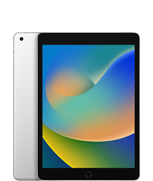 iPad (9.ª geração)