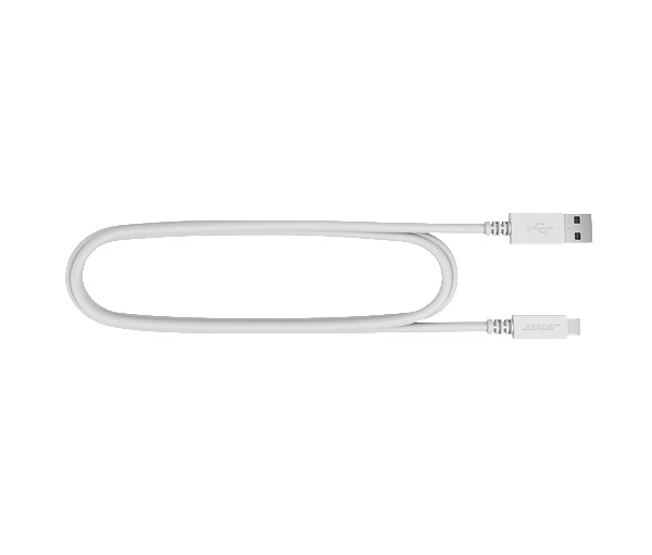 Coluna Bose Revolve Plus II - Prateado
