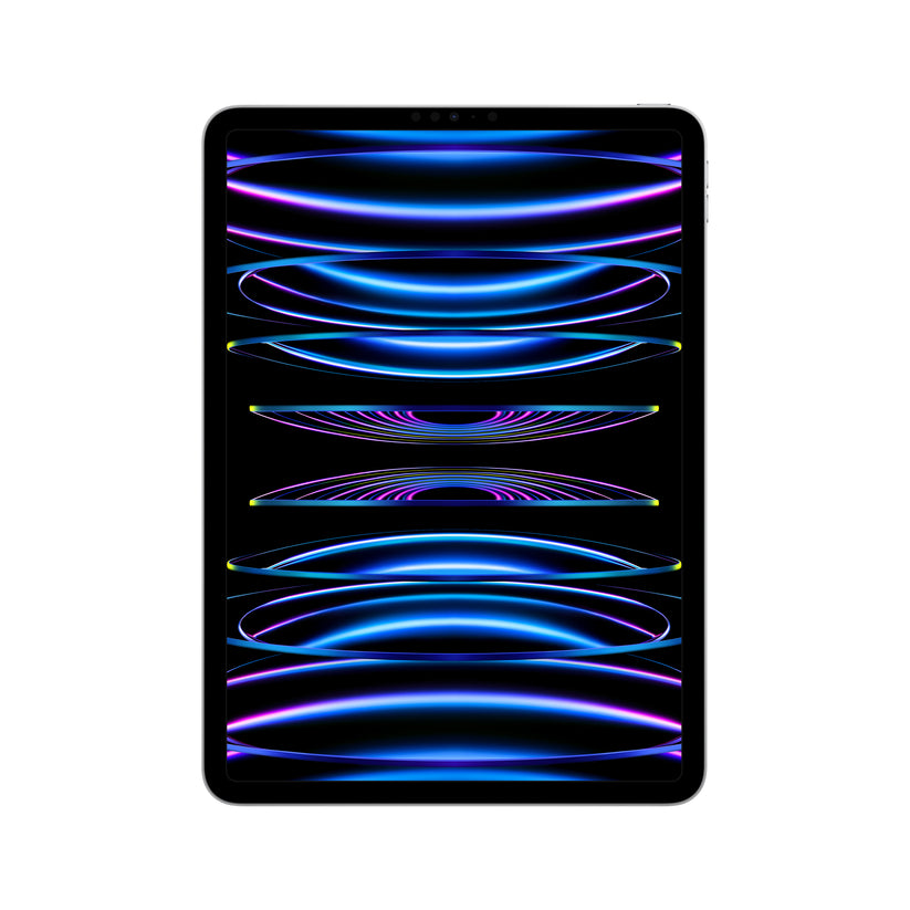 iPad Pro 11 M2 WiFi 2TB Prateado