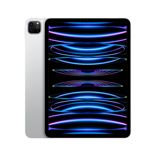 iPad Pro 11 M2 WiFi 512GB Prateado