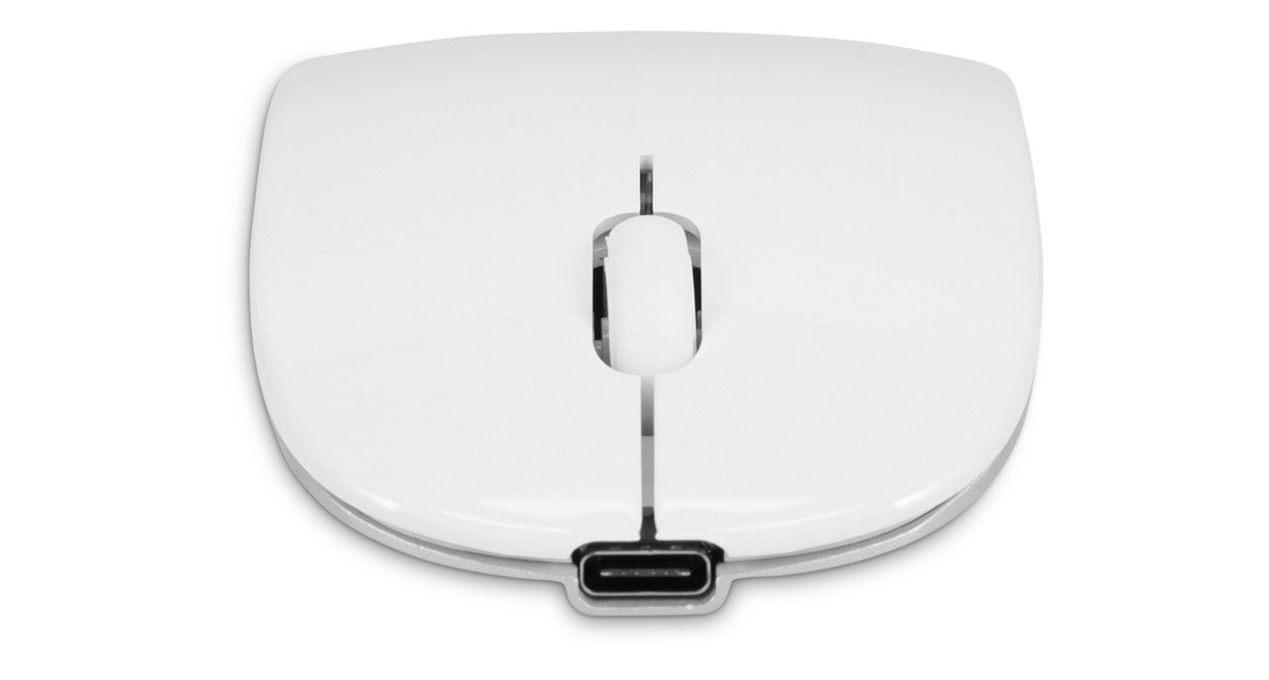 Master Mouse Bluetooth (Wireless) - Silver