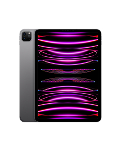iPad Pro 11 M2 WiFi+Cell 256GB Cinzento